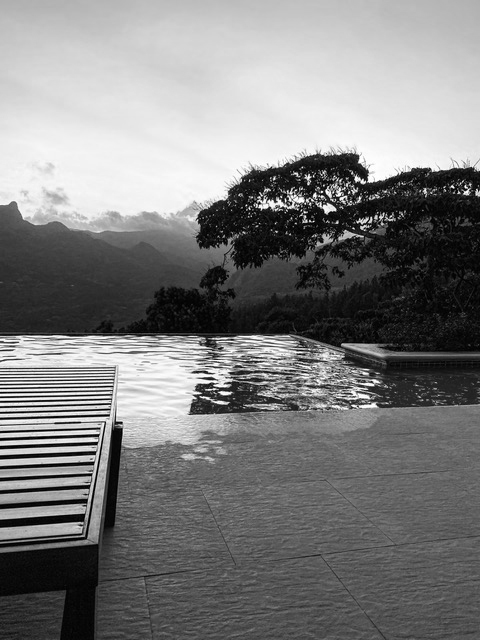 Leisure & Hospitality